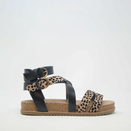 Blowfish Malibu Fandie B Vegan Sand Pixie Leopard Black SANDALS  - ZIGZAG Footwear
